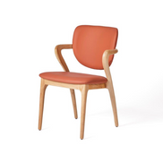 Dining chairs - TEMPEST