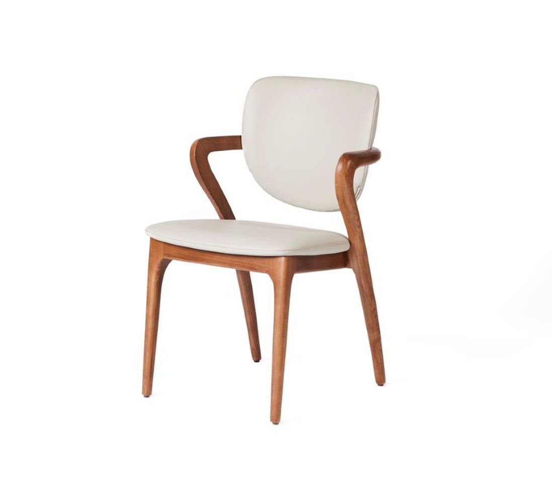 Dining chairs - TEMPEST