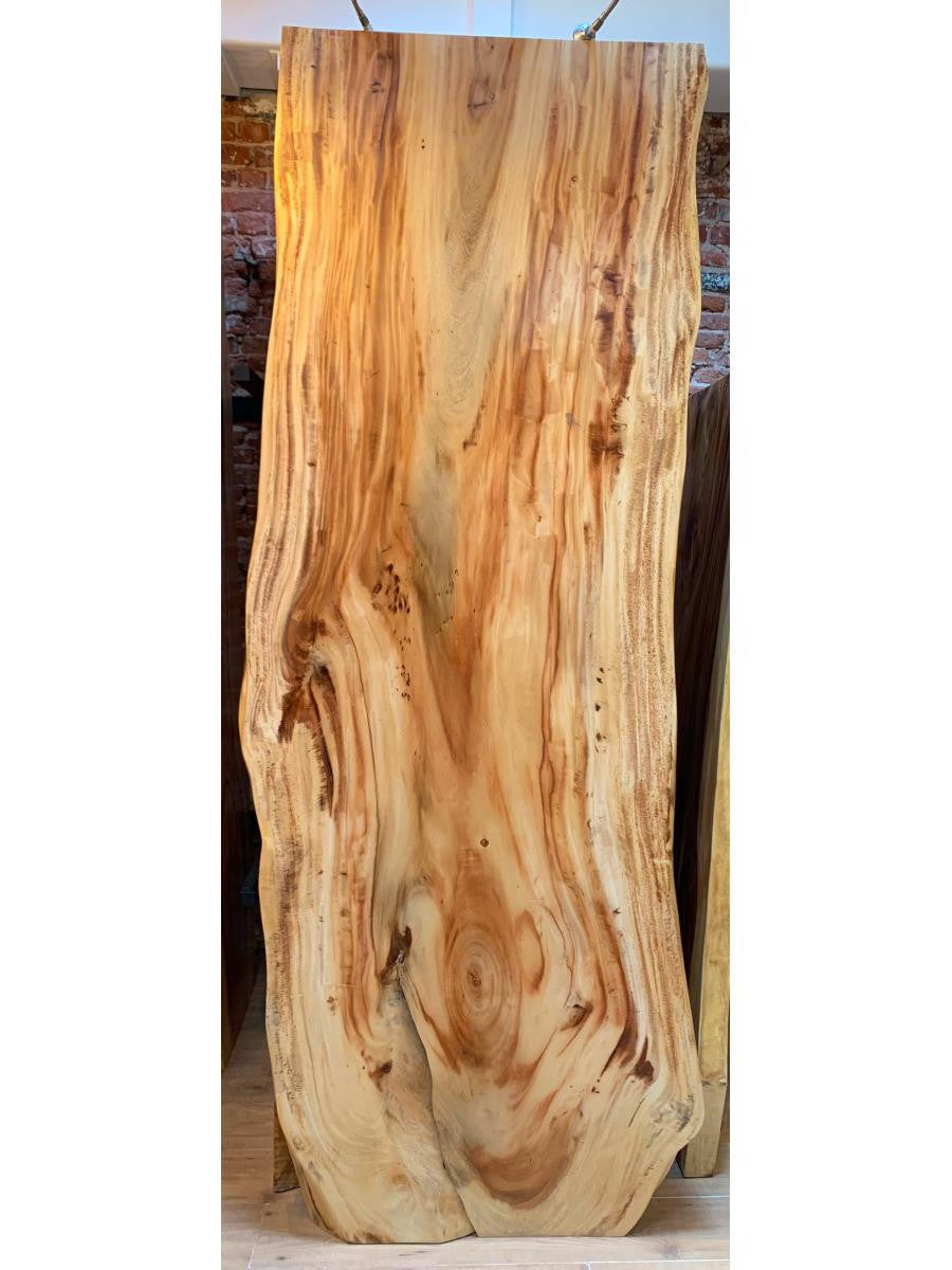 Slab acacia 250/70 90