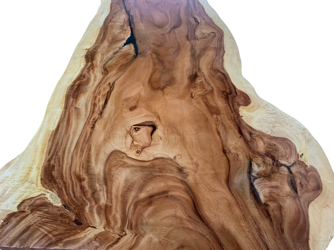 Acacia Slab, table top 328 x 110_83_60 cm