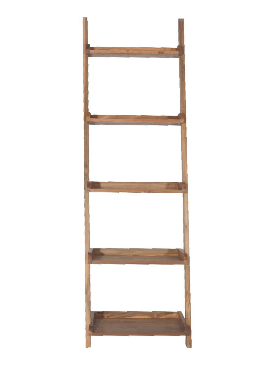 SCALA | Wall ladder bookshelf